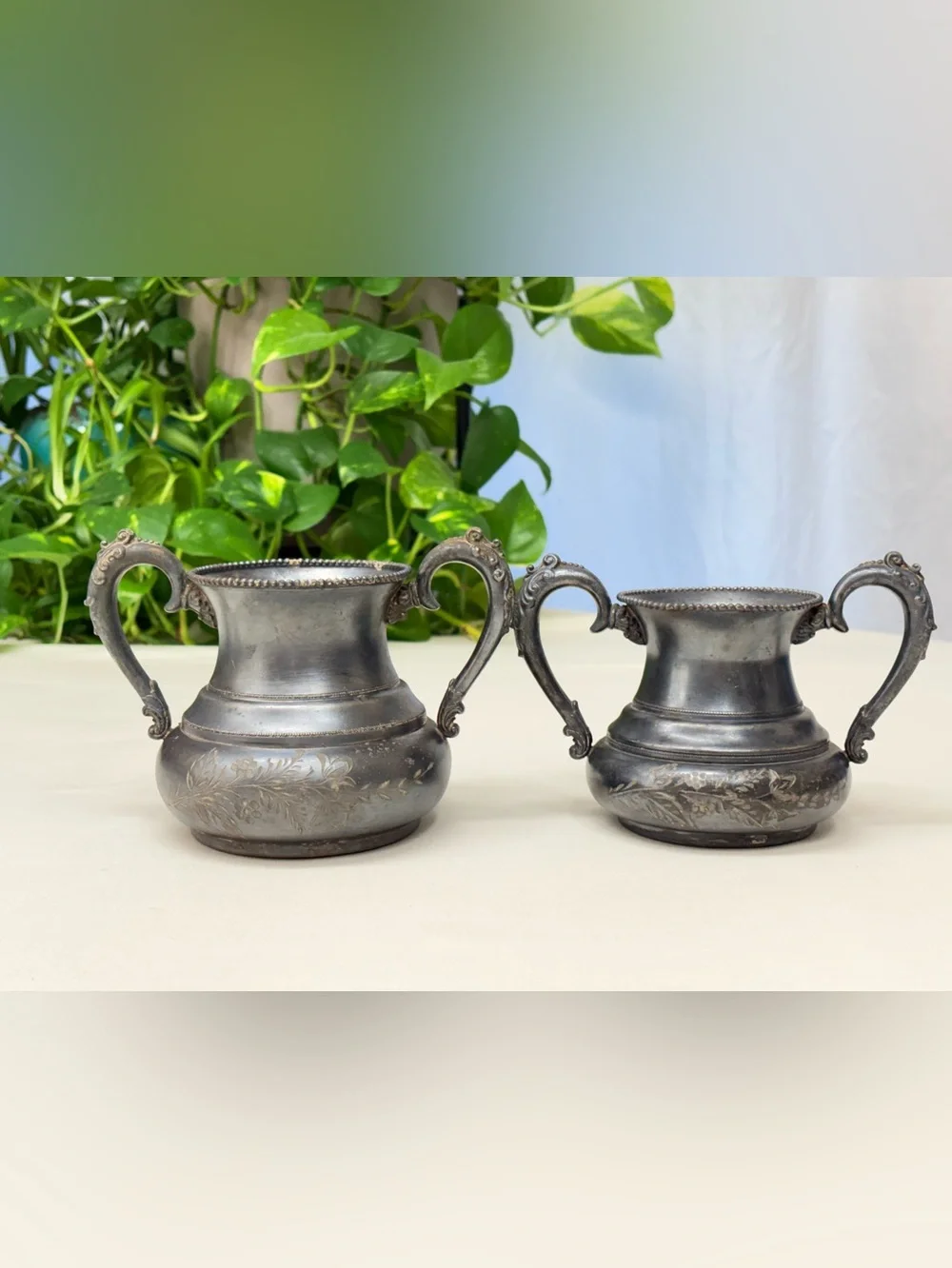 Forbes Silver Co. brand forbes